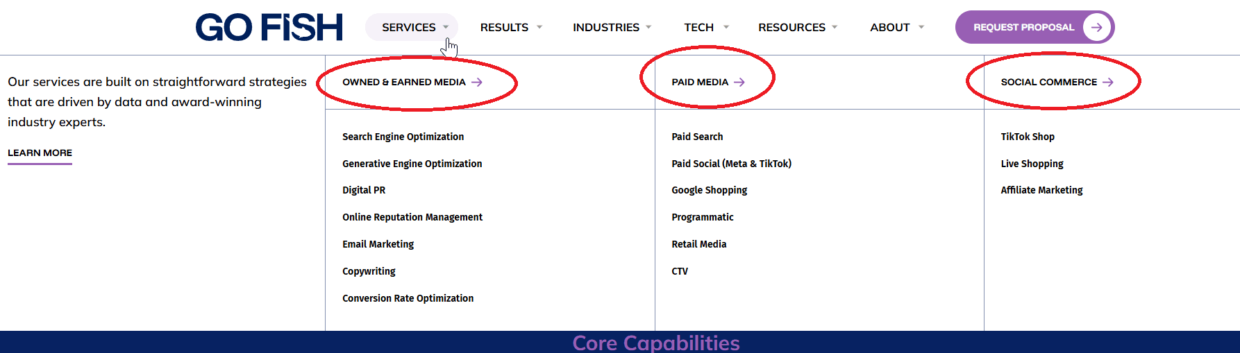 Go Fish Digital services overview